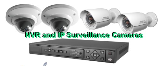 NVR and IP Cameras